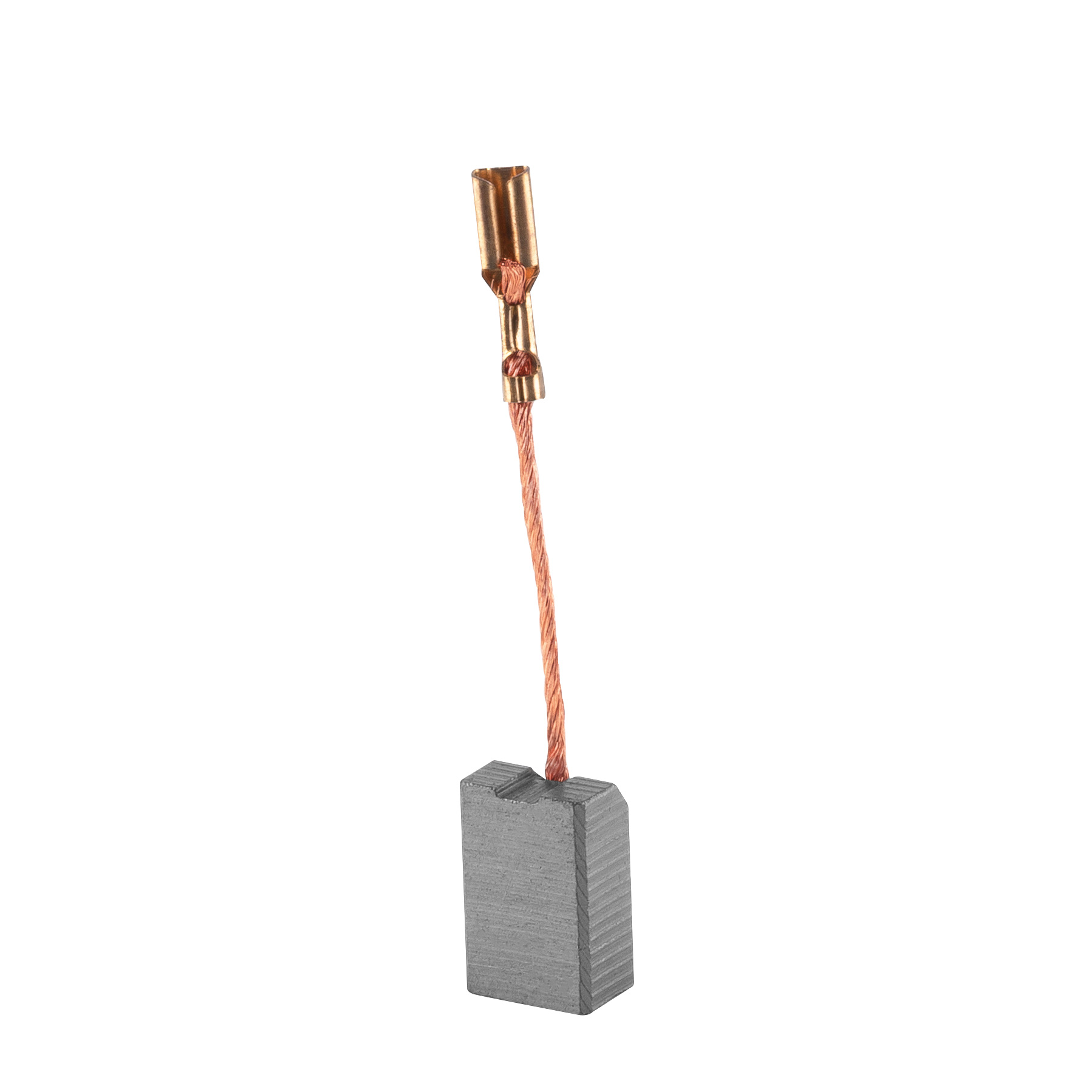 Juego de 2 carbones de repuesto para taladro ROEL-60N - 14096